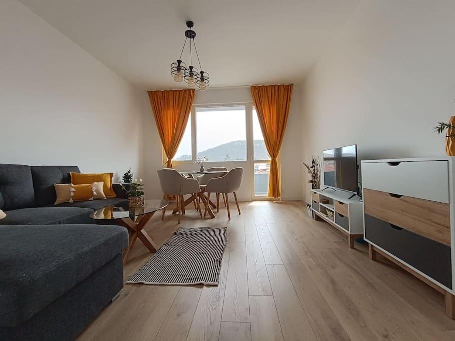 Apartament Aleksandar Premium
