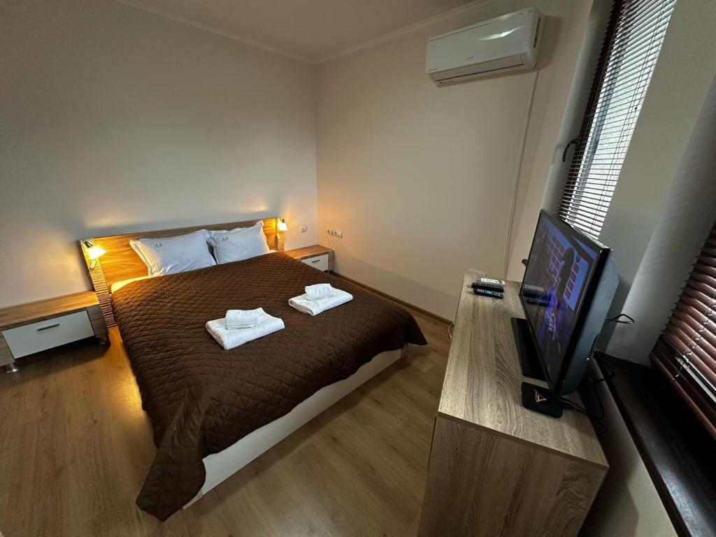 Apartment Aria 5