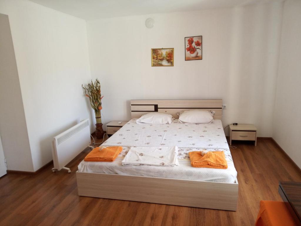 Divna Guest House